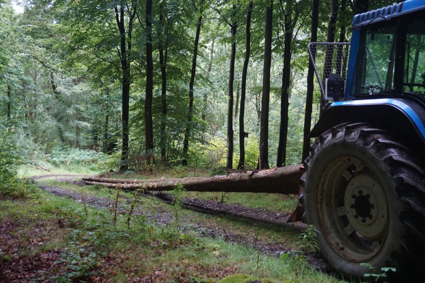 Timber hauling for our Wood Stores