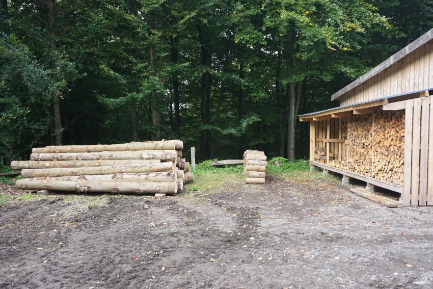 Stacked Logs to create our Wood Stores